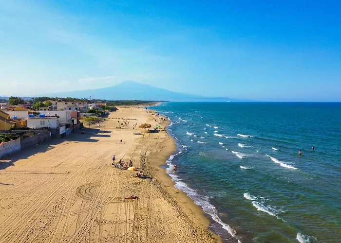 The - Panoramic View